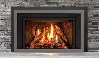 The Enviro: EX35 Insert, available at Plymouth Fireplace in Plymouth, Massachusetts