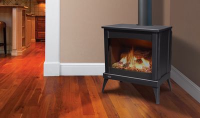 The Enviro: Westport Steel Freestanding (Standing Pilot), available at Plymouth Fireplace in Plymouth, Massachusetts