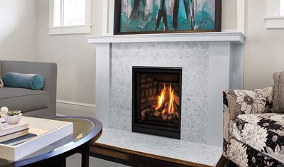 The Enviro: Q1 Fireplace, available at Plymouth Fireplace in Plymouth, Massachusetts