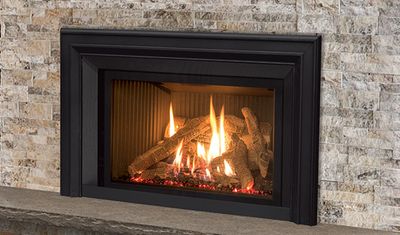 The Enviro: EX32 Insert, available at Plymouth Fireplace in Plymouth, Massachusetts