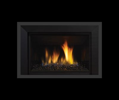 The Regency: Horizon HRI6E, available at Plymouth Fireplace in Plymouth, Massachusetts